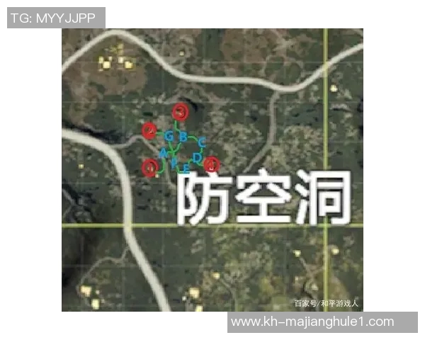 和平精英战术LNG转换体系解析与实战应用探讨